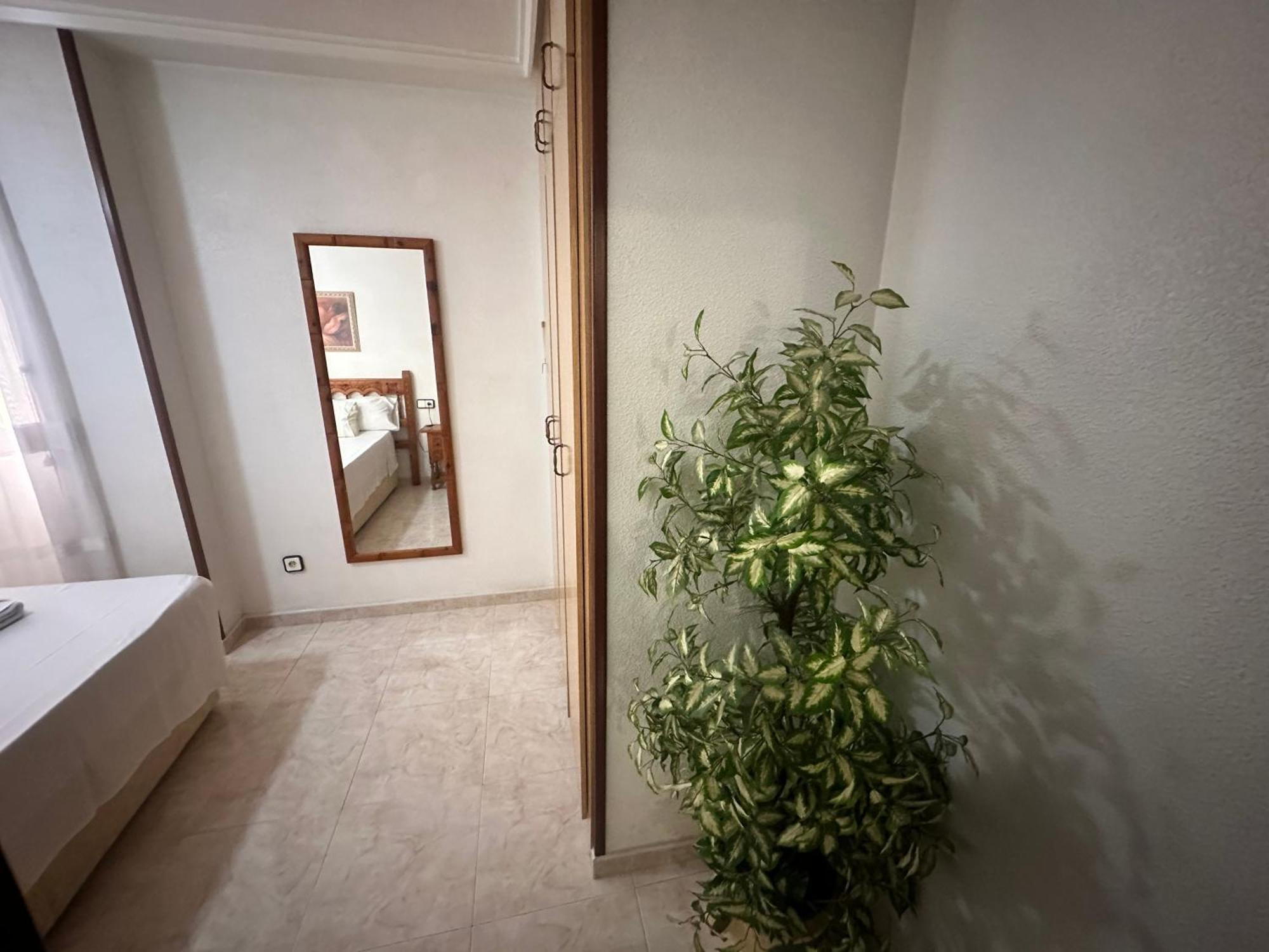 Appartement Homely Habaneras